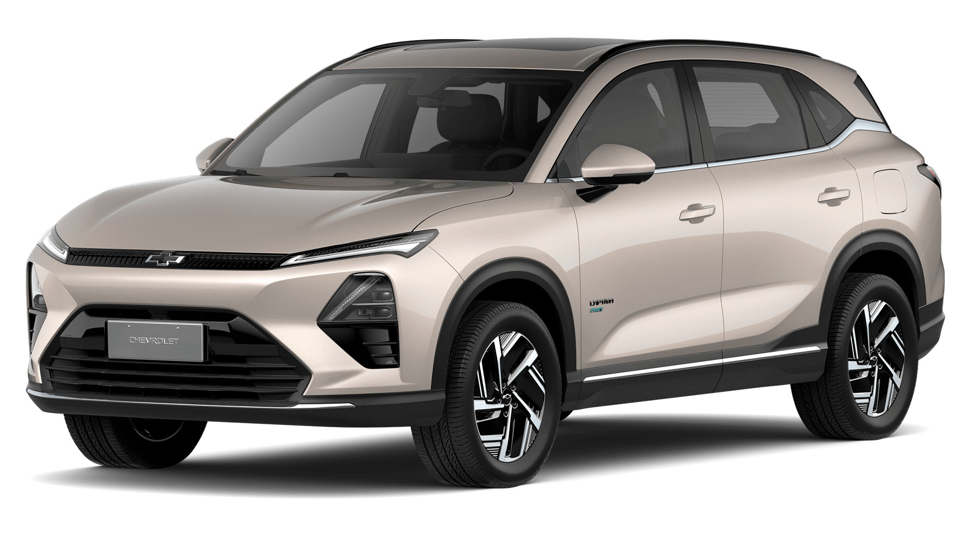 color plata champaña